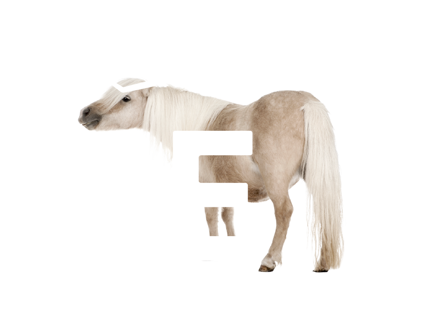 Fichier 4 - Comprendre le SEO